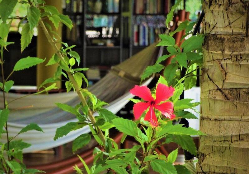 Fotos del hotel Mango Home Riverside:  7