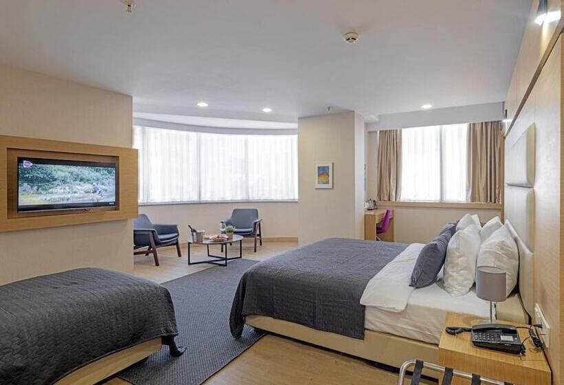 Fotos del hotel Merlin  Istanbul:  14