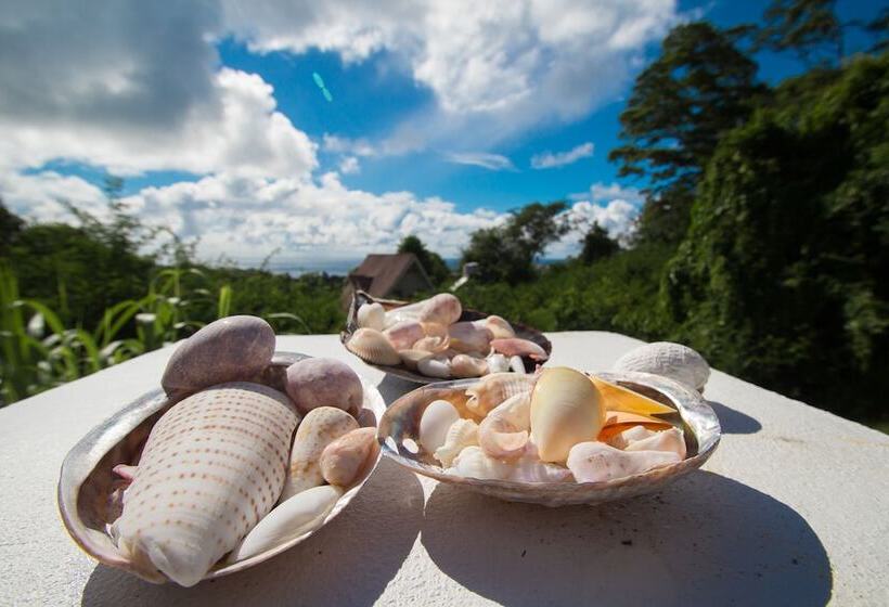 Fotos del hotel Kokogrove Chalets:  9