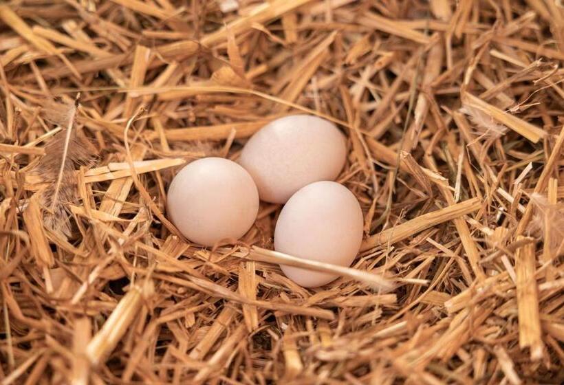 Fotos del hotel Ausserwieserhof:  24