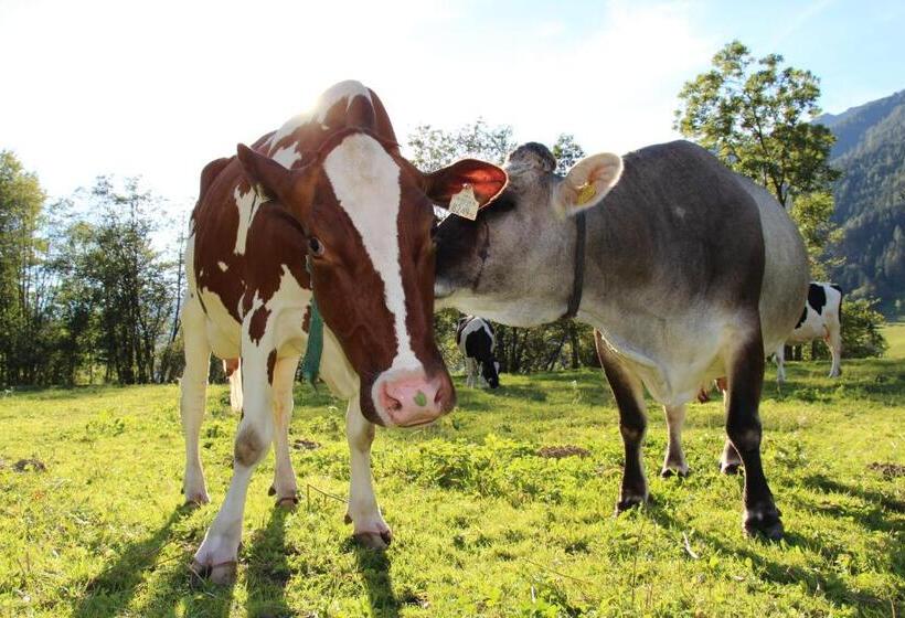 Fotos del hotel Ausserwieserhof:  11