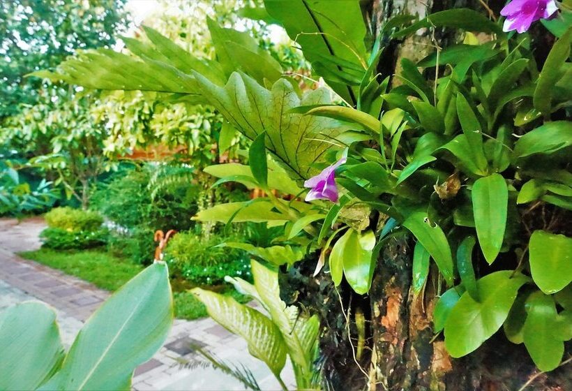 Fotos del hotel Ruenthai Boutique:  9