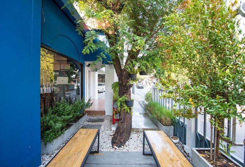 Fotos del hotel The Shade House:  8