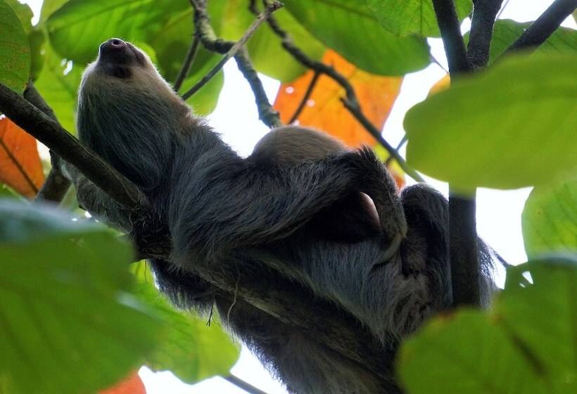 Fotos del hotel Monte Real:  8