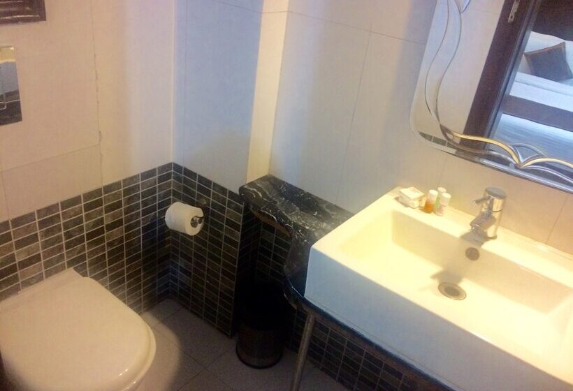 Fotos del hotel Kastor International:  11