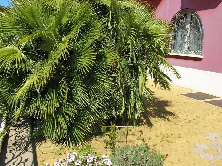 Fotos del hotel Villa Armin:  11