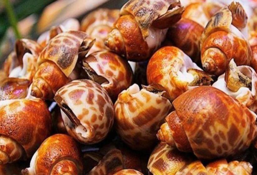 Fotos del hotel Eurasia International:  21