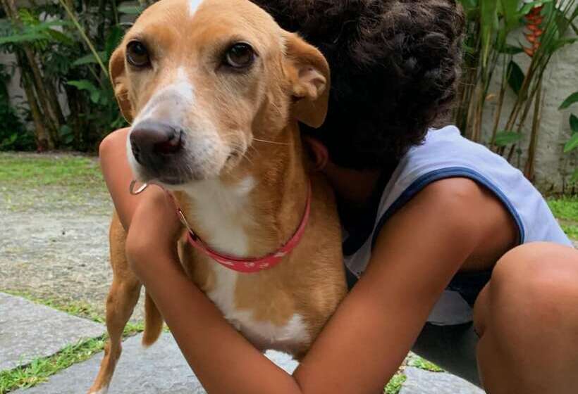 Fotos del hotel Pousada Manaca:  7