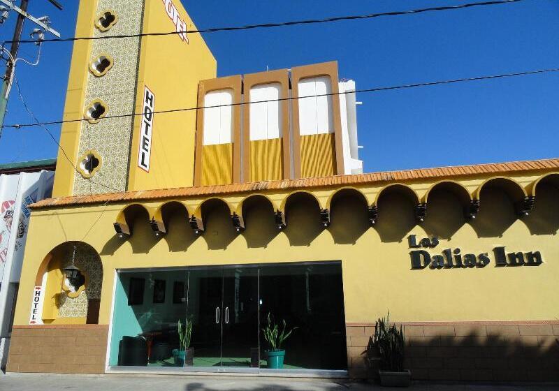Fotos del hotel Las Dalias Inn:  14