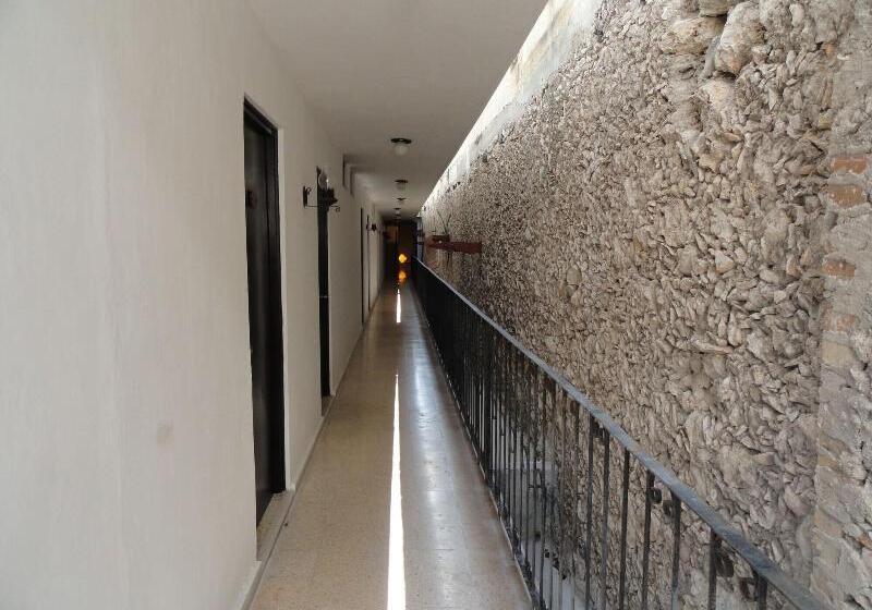 Fotos del hotel Las Dalias Inn:  20