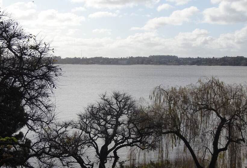 Fotos del hotel Posada De La Flor:  3