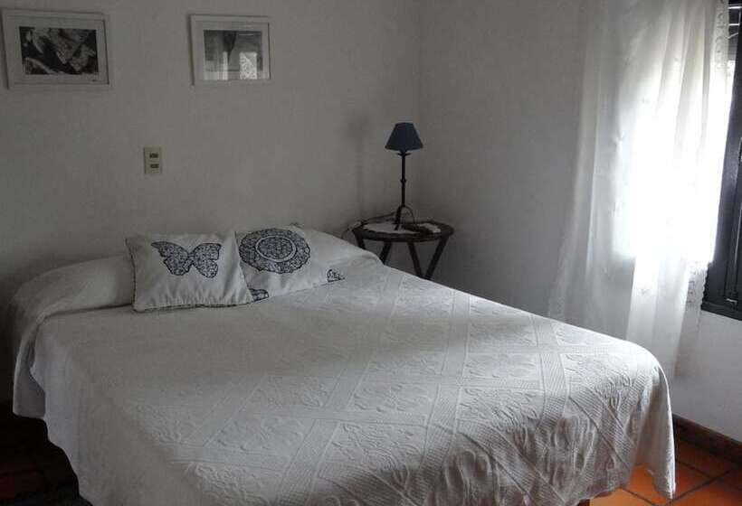 Fotos del hotel Posada De La Flor:  19