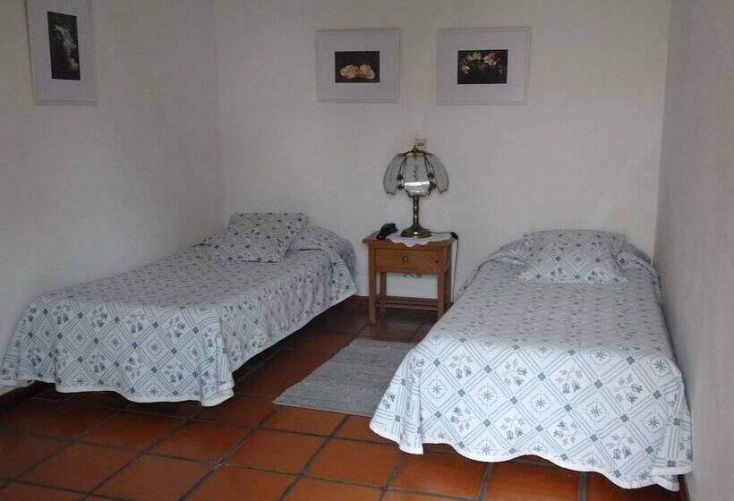 Fotos del hotel Posada De La Flor:  16