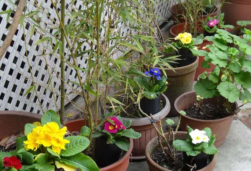 Fotos del hotel Posada De La Flor:  5