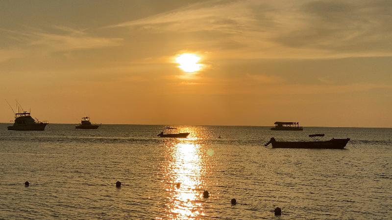 Fotos del hotel The Boardwalk Village:  6