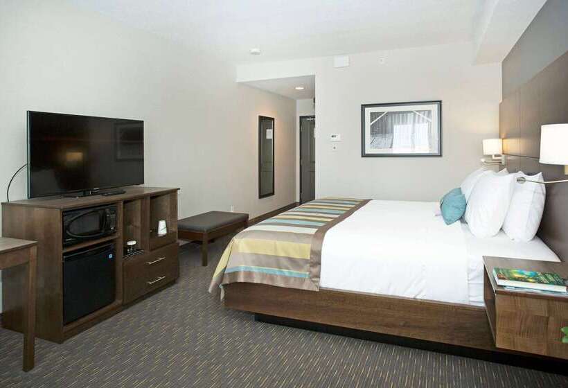 Fotos del hotel Wingate By Wyndham Calgary Airport:  13