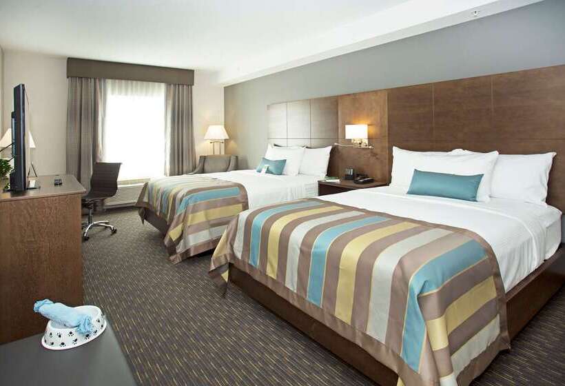 Fotos del hotel Wingate By Wyndham Calgary Airport:  8