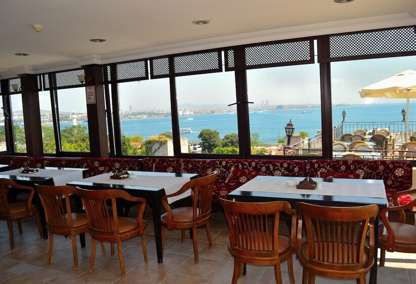 Fotos del hotel Alp Guesthouse:  17