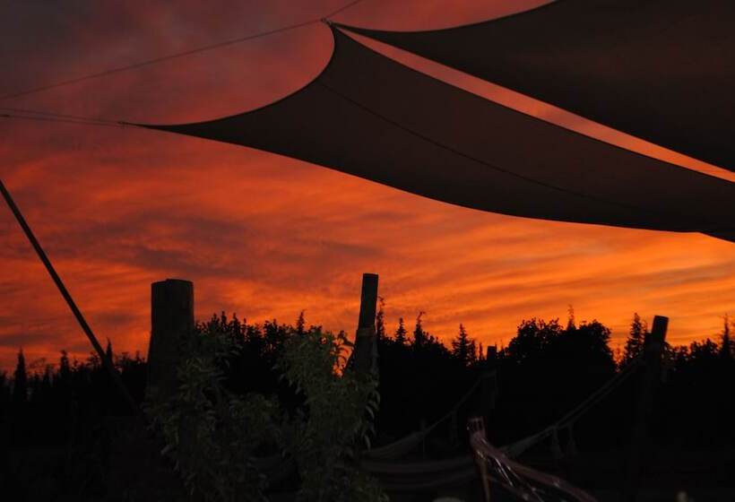 Fotos del hotel Weingut & Land Can Davero:  3