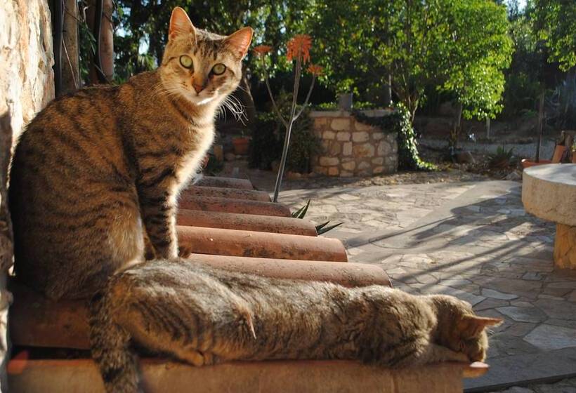 Fotos del hotel Weingut & Land Can Davero:  2