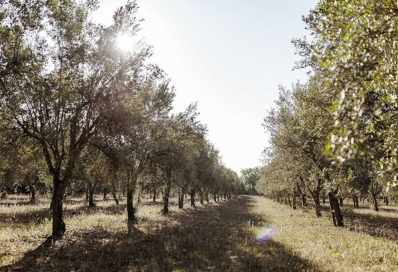 Fotos del hotel Weingut & Land Can Davero:  10