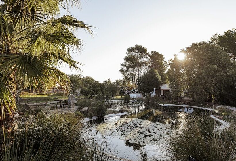 Fotos del hotel Weingut & Land Can Davero:  4