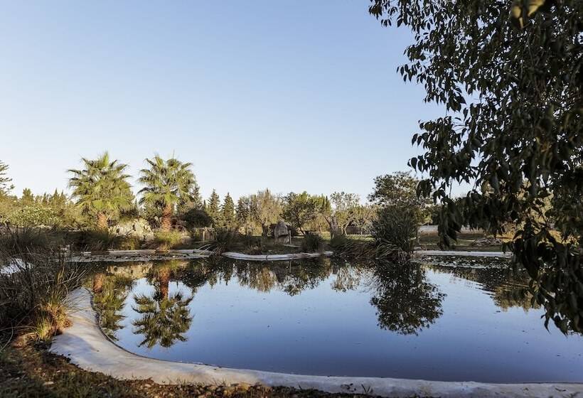 Fotos del hotel Weingut & Land Can Davero:  6