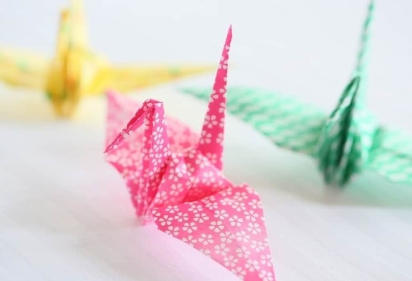 Fotos del hotel Apa  Sapporosusukino:  19