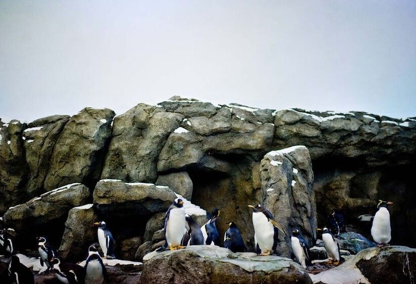 Fotos del hotel Calgary Airport Marriott Interminal:  9