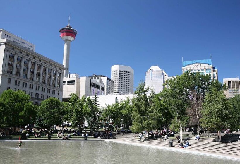 Fotos del hotel Calgary Airport Marriott Interminal:  22