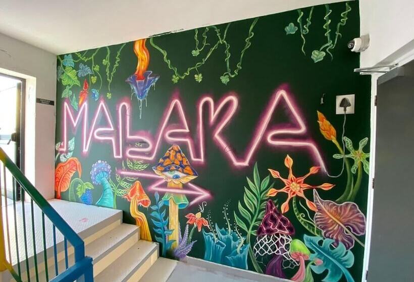 Fotos del hotel Rise:  14