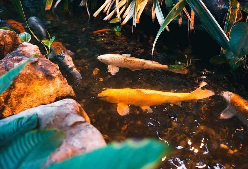 Fotos del hotel Hôtel Québec Inn:  12