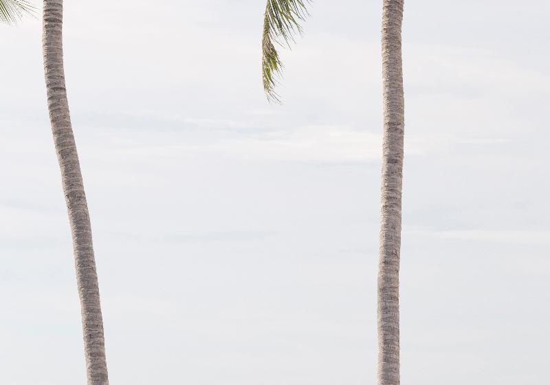 Fotos del hotel The Privilege  Ezra Beach Club:  20