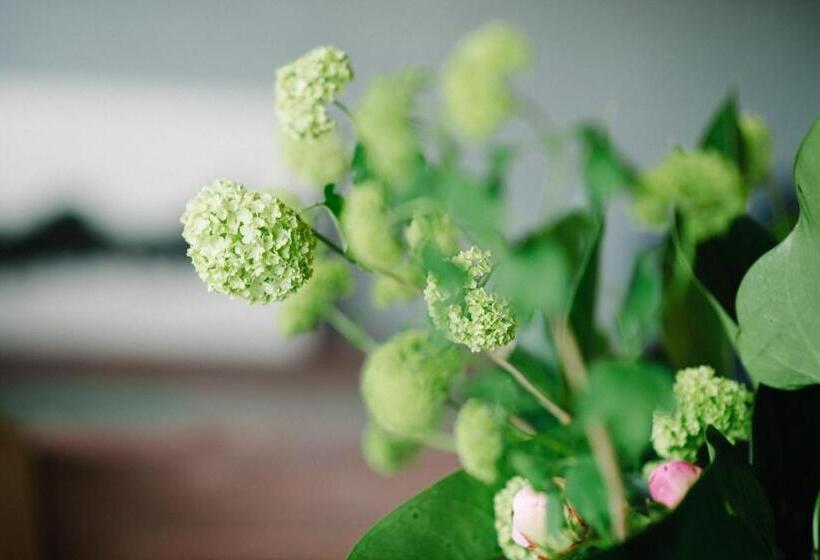 Fotos del hotel Bijuu:  7