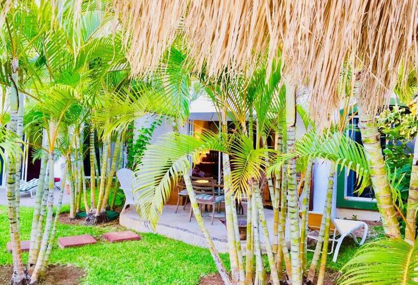 Fotos del hotel Dolce Vita Caribe B&B:  12