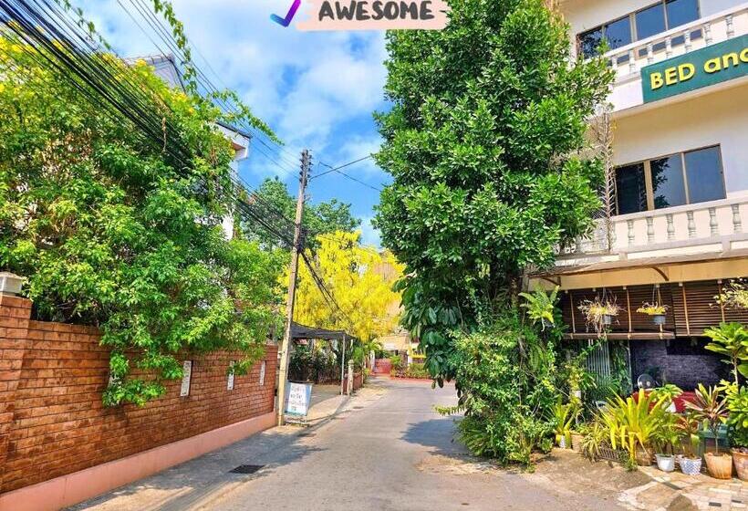 Fotos del hotel Bed And Terrace Guesthouse Chiang Mai:  8