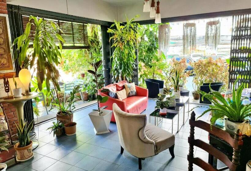 Fotos del hotel Bed And Terrace Guesthouse Chiang Mai:  22