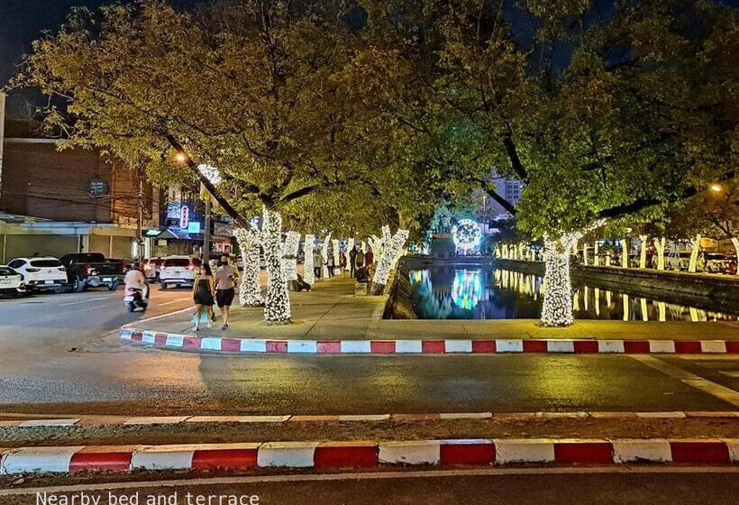 Fotos del hotel Bed And Terrace Guesthouse Chiang Mai:  23