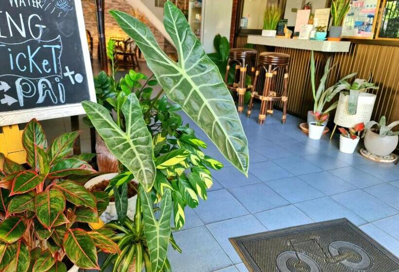 Fotos del hotel Bed And Terrace Guesthouse Chiang Mai:  12