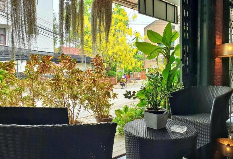 Fotos del hotel Bed And Terrace Guesthouse Chiang Mai:  6