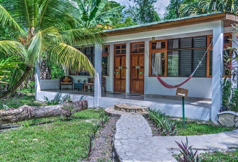 Fotos del hotel Jaguar Inn Tikal:  13