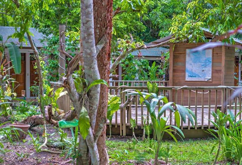 Fotos del hotel Jaguar Inn Tikal:  15