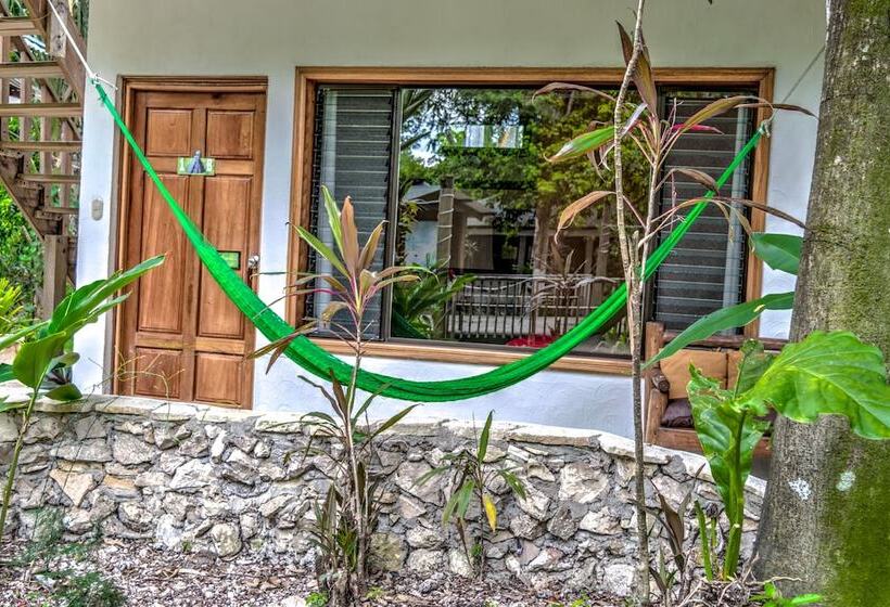 Fotos del hotel Jaguar Inn Tikal:  19