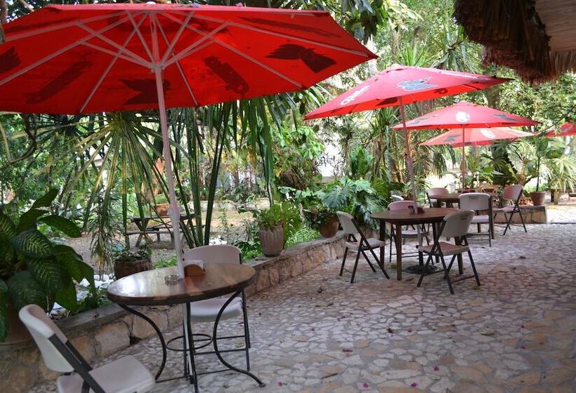 Fotos del hotel Jaguar Inn Tikal:  3