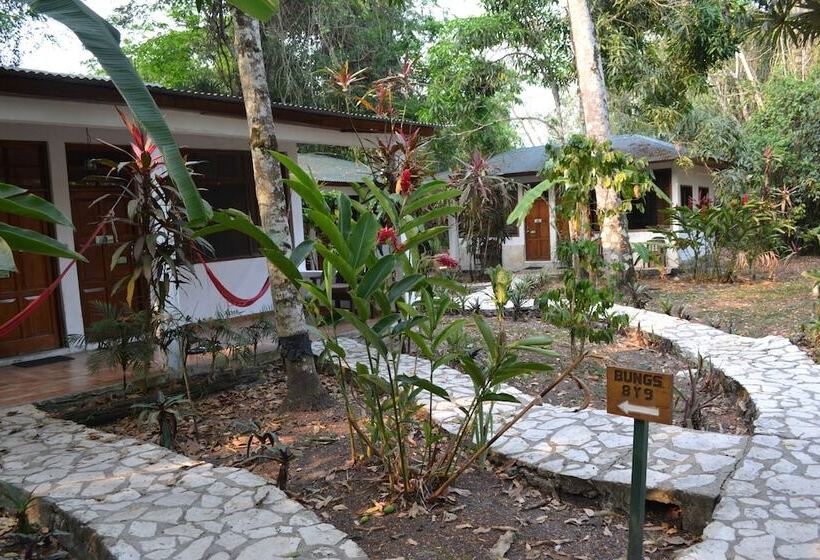 Fotos del hotel Jaguar Inn Tikal:  2