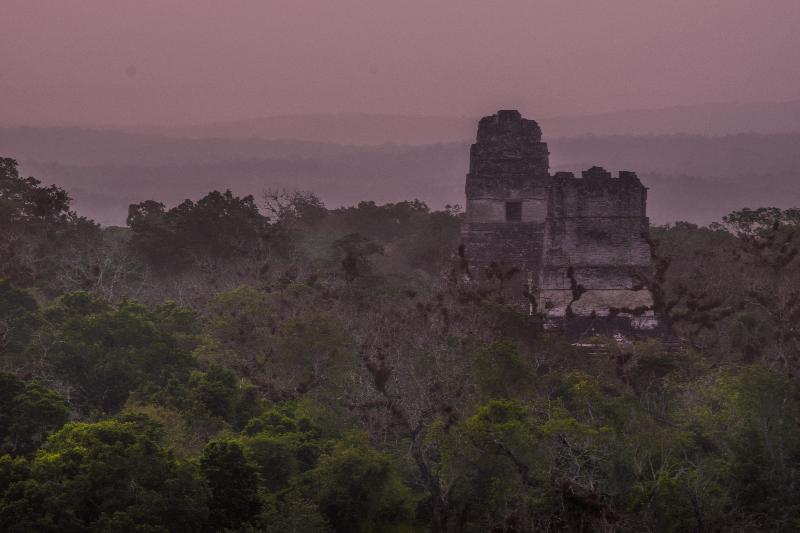 Fotos del hotel Jaguar Inn Tikal:  5