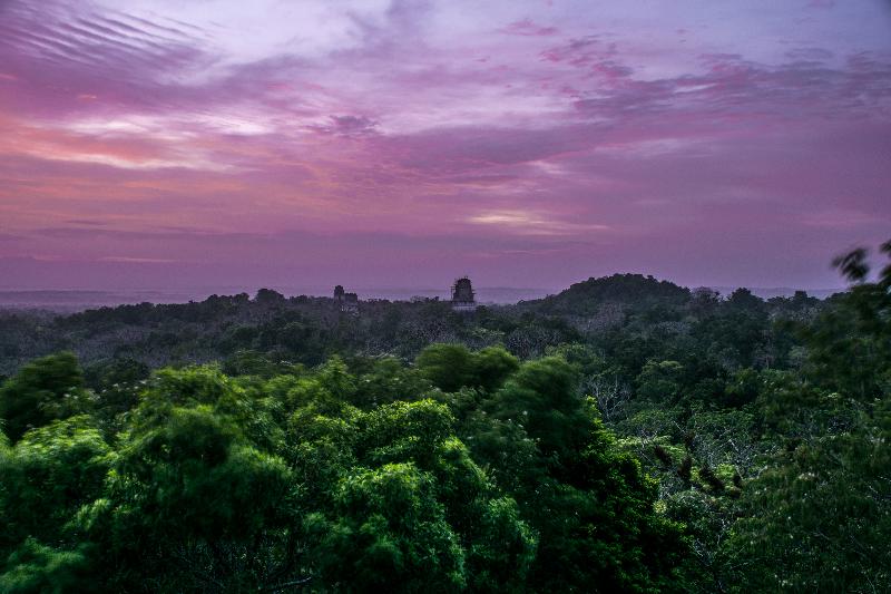 Fotos del hotel Jaguar Inn Tikal:  9