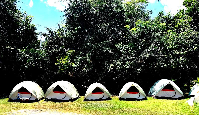 Fotos del hotel Jaguar Inn Tikal:  16