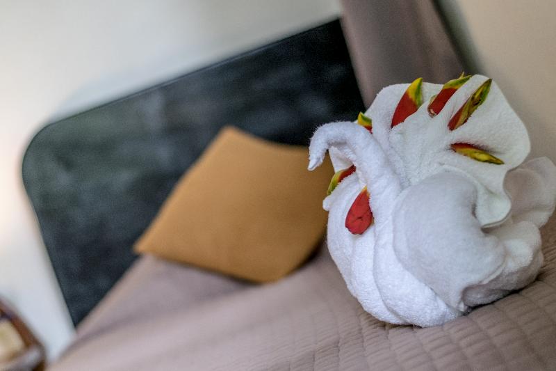 Fotos del hotel Jaguar Inn Tikal:  14