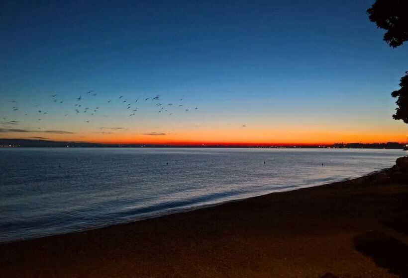 Fotos del hotel Riviera:  21